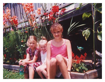 flowerseverywhere.jpg